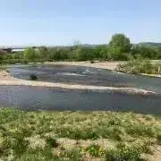 おもちの画像