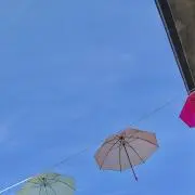 TARUの画像