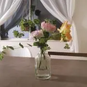 Alex ryu1chの画像