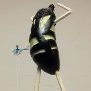 しんたろう