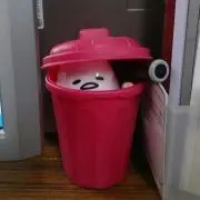 ゆず
