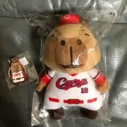 みぃの画像