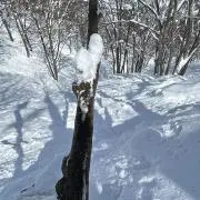 クレカリの画像