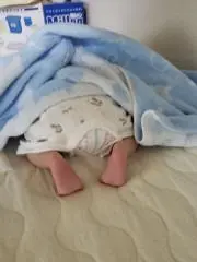 ひーの画像
