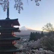 シープ