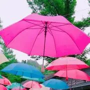 傘の画像