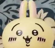 しまごんの画像