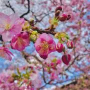 のりたま〈プロフ確認お願いします〉の画像