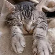 たなたな【まとめ割はプロフ必読】の画像