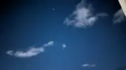 とんぼの画像
