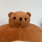 *クマの森*