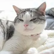 つくつく★プロフ必読お願いします★の画像