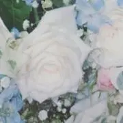 そいの画像