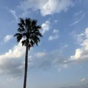 じゃんぜり