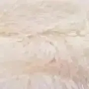 rargww