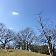 めんたいこおにぎり