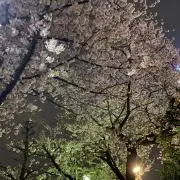 MA 「プロフをご覧下さい☆」の画像