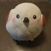 ヒロスタの画像