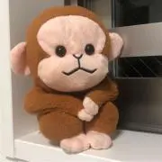 こうの画像