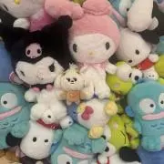 BE313の画像