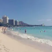 ちょこの画像