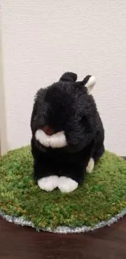 れなの画像