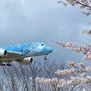 なかゆきの画像