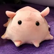 りんご飴の画像