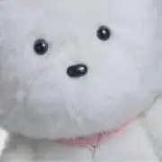 neRossoの画像
