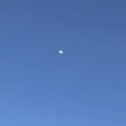 ムーミンの画像