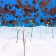 ゆうたの画像