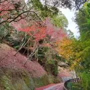 ふうの画像