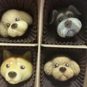 タッピの画像