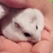 くぼまり