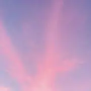 kikiの画像