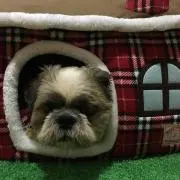シンクロん プロフ読んで下さい。