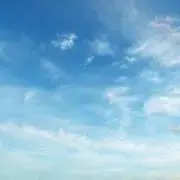 Pの画像