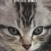 junjunの画像