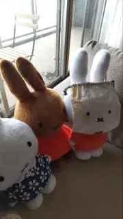 mikaの画像