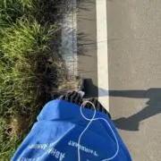 AULB 7/26（日）大井競馬場フリマの画像