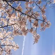 ともこの画像