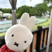あかの画像