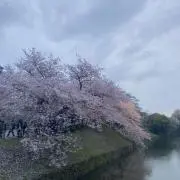 ぱぴ