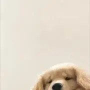 mの画像