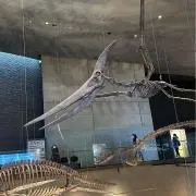 松尾
