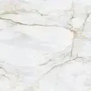 あいすちゃんの画像
