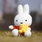 さの画像