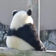 よよ