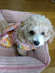 minami