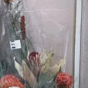 みたらし 即購入可の画像